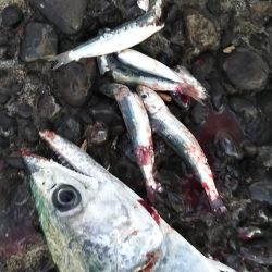 寝坊のち・・・。②