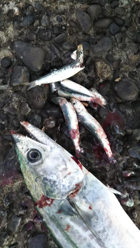 寝坊のち・・・。②