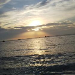 メッキアジ釣行