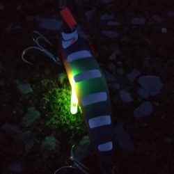 夕マヅメ陸っぱりジギング