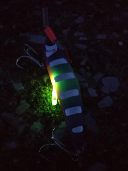 夕マヅメ陸っぱりジギング