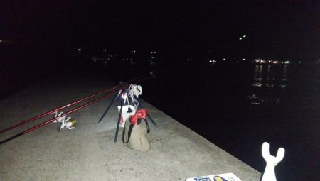 洲本川のキス情報