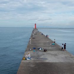 ２日続け好釣果でした