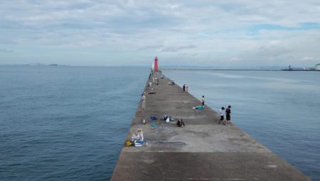 ２日続け好釣果でした