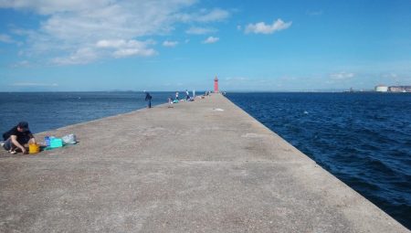 播磨新島で良型キスが釣れました
