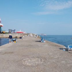 午後から播磨新島へキス釣査