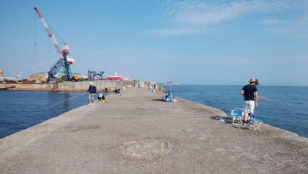 午後から播磨新島へキス釣査