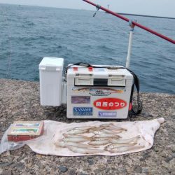 潮の動き今一の播磨新島釣行