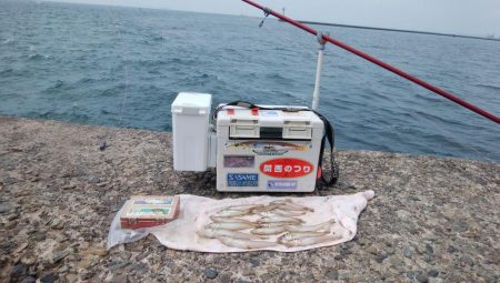 潮の動き今一の播磨新島釣行