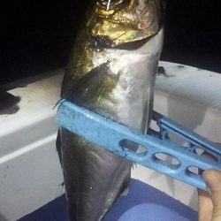 台風通過後の白イカ釣行