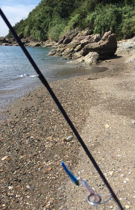 とりあえず高級魚１つ