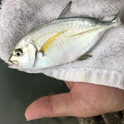 楽しいメッキ ！