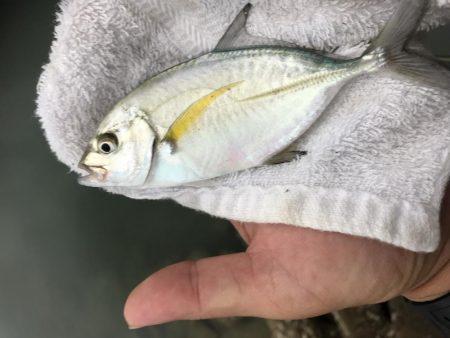 楽しいメッキ ！