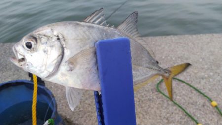 連休最終日はどうかな？