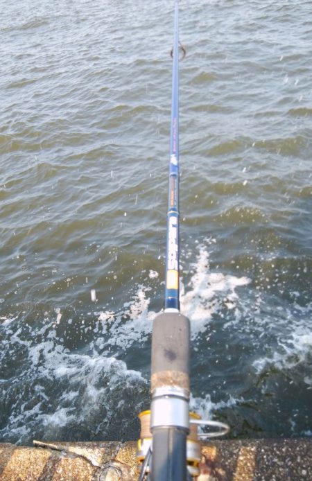 やっと悲願のタコ