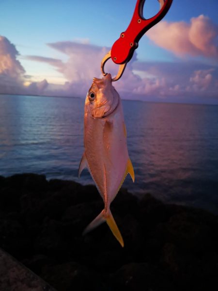 ポッパーは楽しい