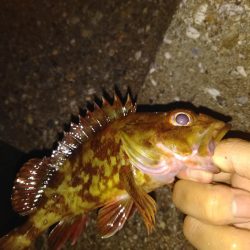 久々の探り釣り