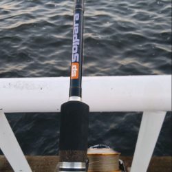 仕事前にツバス釣り