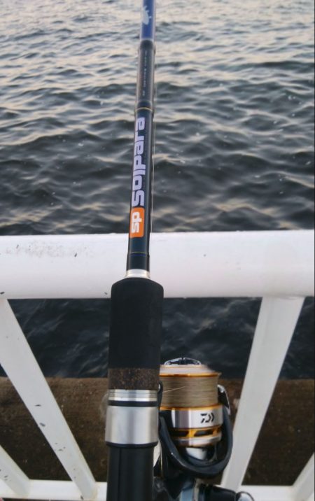 仕事前にツバス釣り