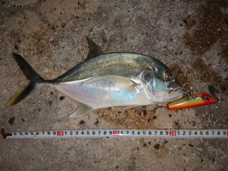 台風明けやっと釣れました