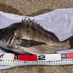 台風の来る前に