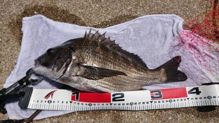 台風の来る前に