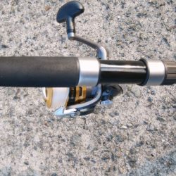 今日もハマチサイズ求めて