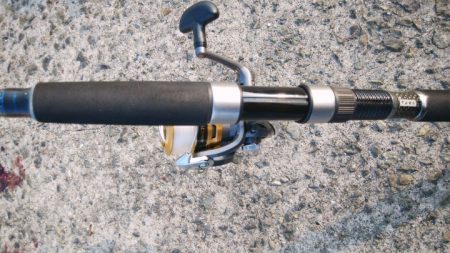 今日もハマチサイズ求めて