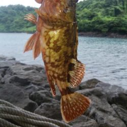 台風前に穴釣り