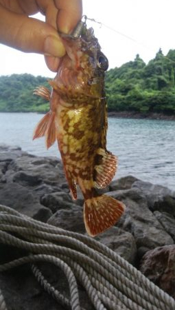 台風前に穴釣り
