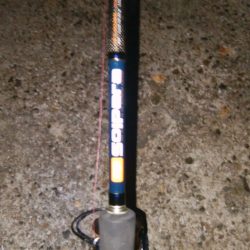 ツバッシング＆タチウオ調査