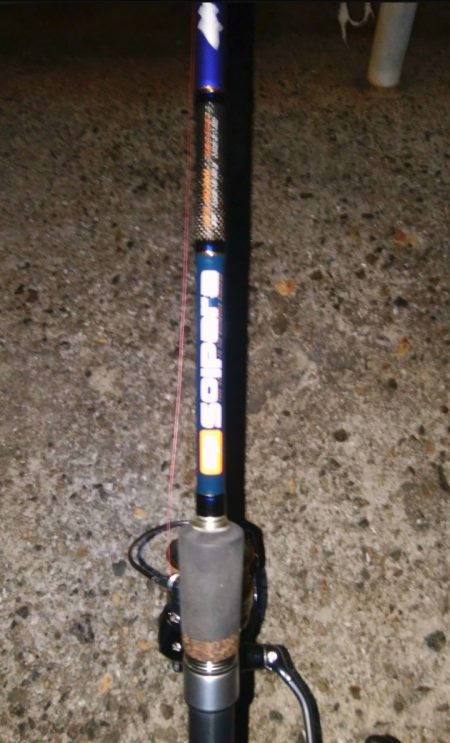 ツバッシング＆タチウオ調査