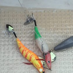 シーズン終盤の船タコ釣り