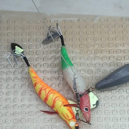 シーズン終盤の船タコ釣り