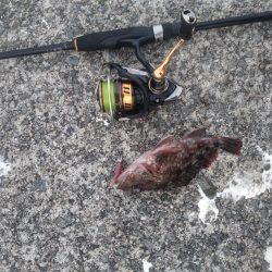 オンスタックルさんのイベントに参加