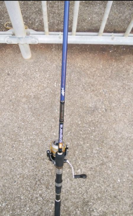 肉の日フィッシング