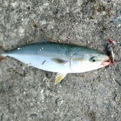 武庫川一文字で遊んできました☆