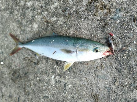 武庫川一文字で遊んできました☆