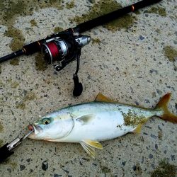 水潮でも爆釣ショアジギ