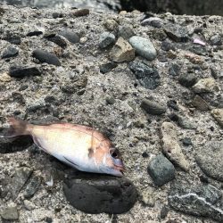 準備万全！朝3時半に現場到着の人いっぱい。