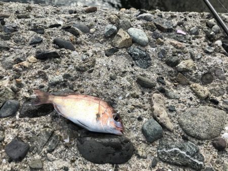 準備万全！朝3時半に現場到着の人いっぱい。