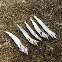 夏のライトショアジギング3