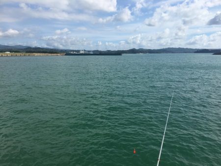 ツバス、メッキのみ