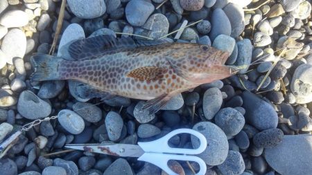 ゴミだらけの片浜