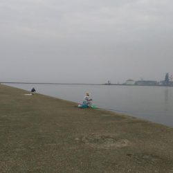 いただきました。