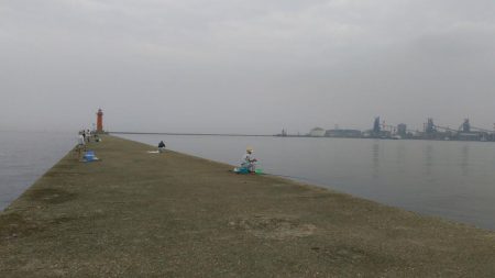 いただきました。