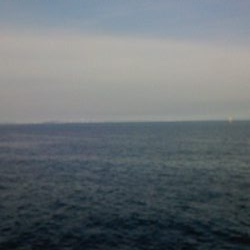 久しぶりのLSJボウズ