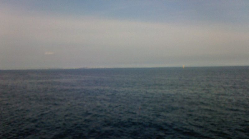 久しぶりのLSJボウズ