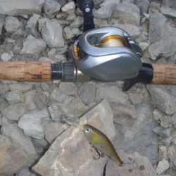 トゥイッチ、ポーズで