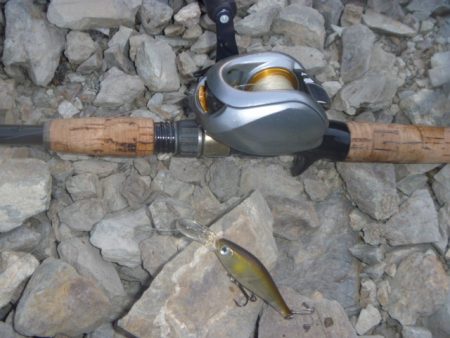 トゥイッチ、ポーズで